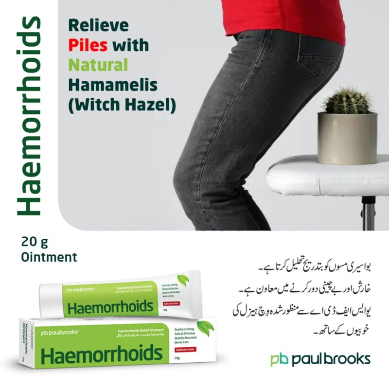 Tube of Haemorrhoids 20gm Ointment with applicator, for the treatment of piles.